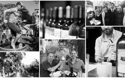 Serendipity Wines: Celebrating 20 Years!