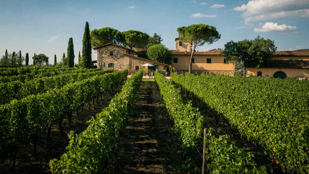 A farmer at Albet I Noya carries a basket of grapes across their vineyard