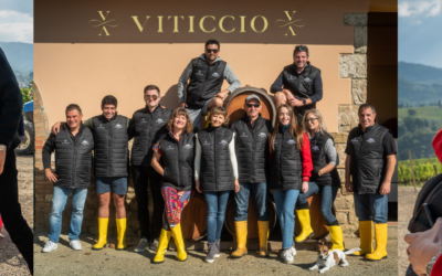 Viticcio – Every Case Counts Relief Aid Campaign