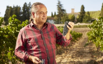 The Butterfly Efecte: How Albet I Noya Drove Organics to Penedès